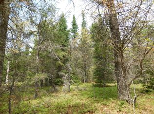 Shaw Park Rd, Grayling, MI 49738