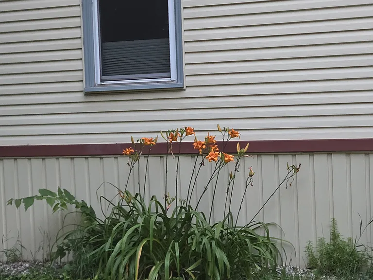 316 S 4th St — Photo 16