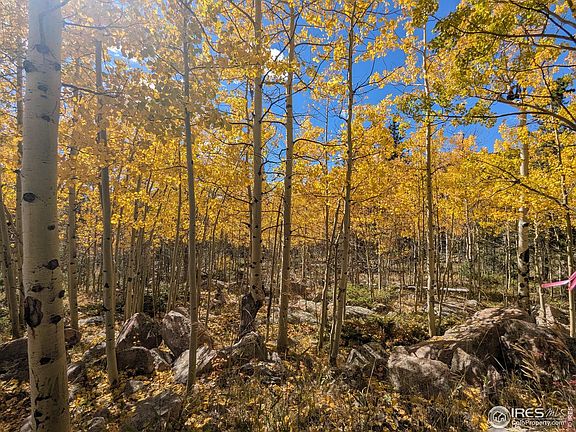 2nd image of 0 Bear Gulch Rd