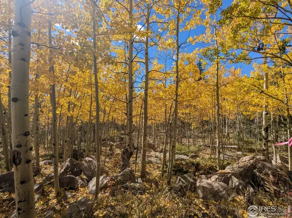 0 Bear Gulch Rd, Red Feather Lakes, CO 80545
