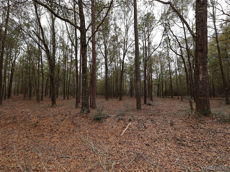 1st image of 2024 County Road 156
