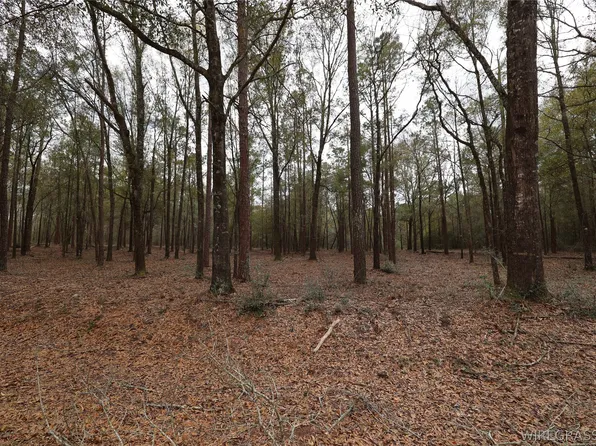 2190 County Road 156, New Brockton, AL 36351