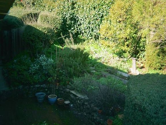 Private Fenced Backyard