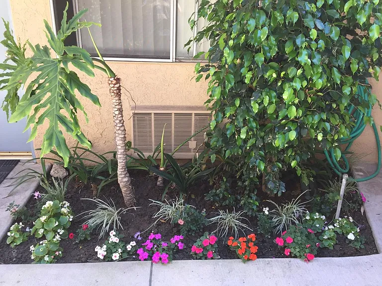 8343 Amigo Ave — Photo 11