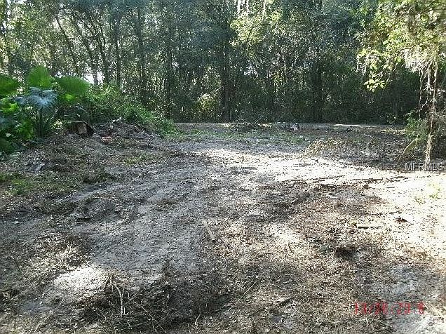 1st image of 7351 County Road 713