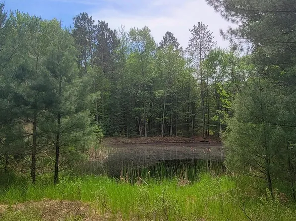 S Gladwin Rd, Prudenville, MI 48651