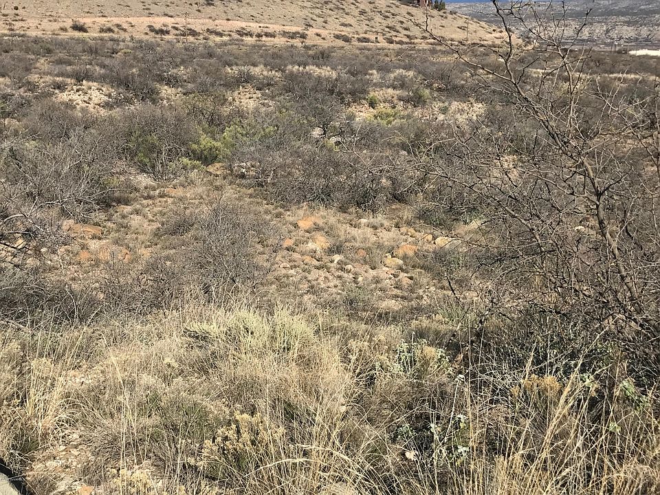 1st image of 00 Wild Horse