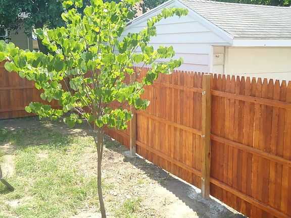 Fence for back yard
