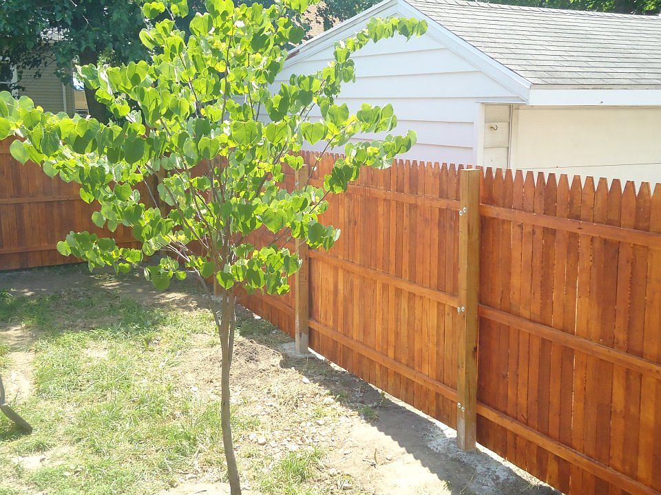 Fence for back yard