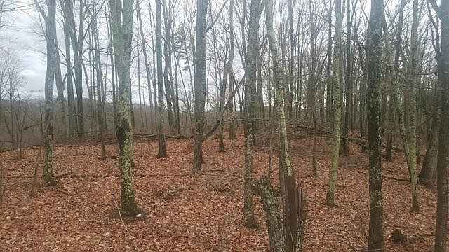 2nd image of Sweetwater Vonore Rd