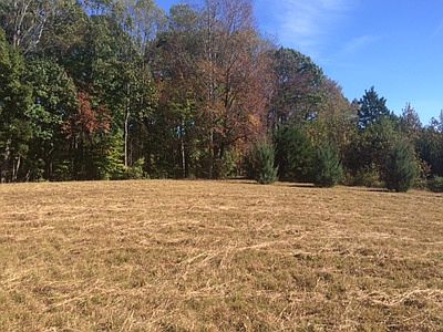 Open land for crop or home