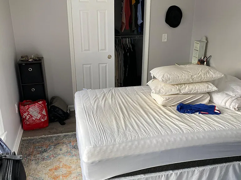 Master bedroom with closet organizers