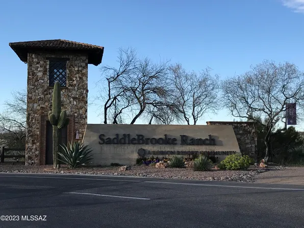 60156 E Blue Palm Dr, Oracle, AZ 85623