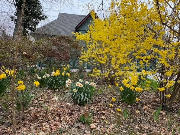 74 Sherman Place image 48 of 50