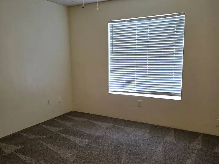 3824 Christmas Tree Ln — Photo 14