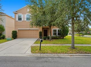 20203 Autumn Fern Ave, Tampa, FL 33647