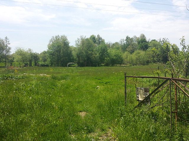 2nd image of 13135 Nebo Rd