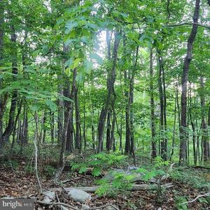LOT C7 Pattys Pl, Luray, VA, 22835