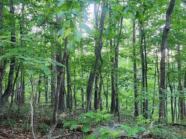 LOT C7 Pattys Pl, Luray, VA 22835
