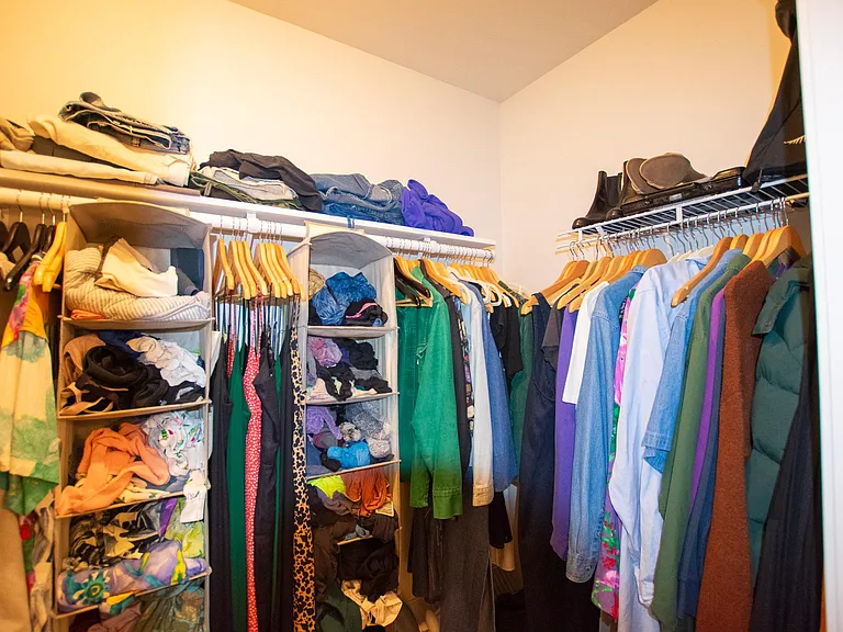 Walk In Closet in Primary