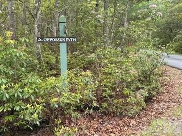 Fr16 Opossum Path Fr #16, Brevard, NC 28712