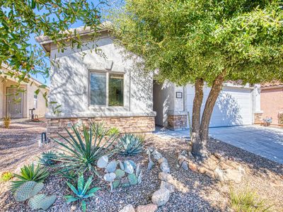 15874 S Via Cayetano, Sahuarita, AZ, 85629