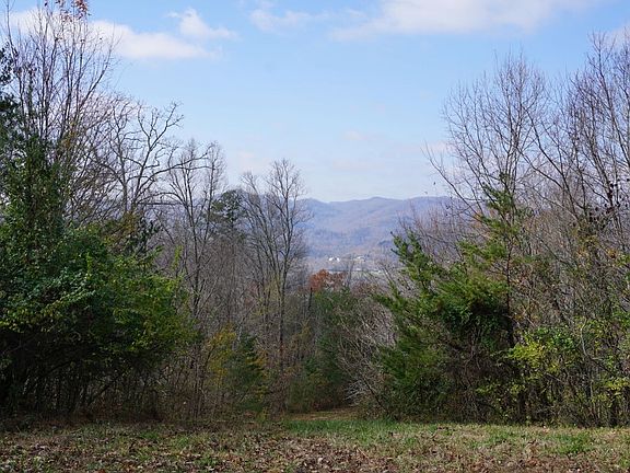 Field view.