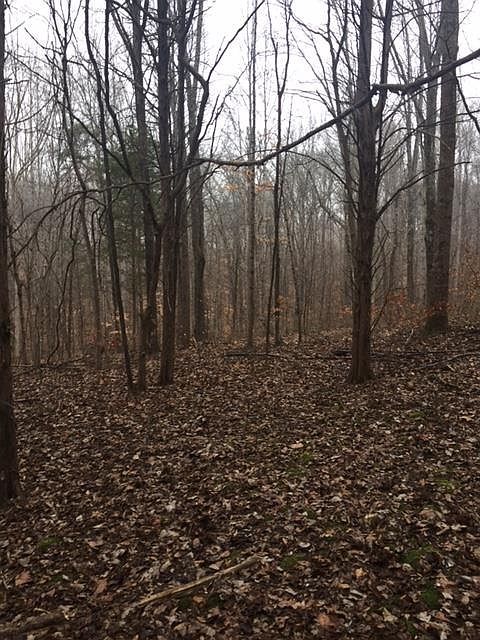 2nd image of 0 N Corinth Rd