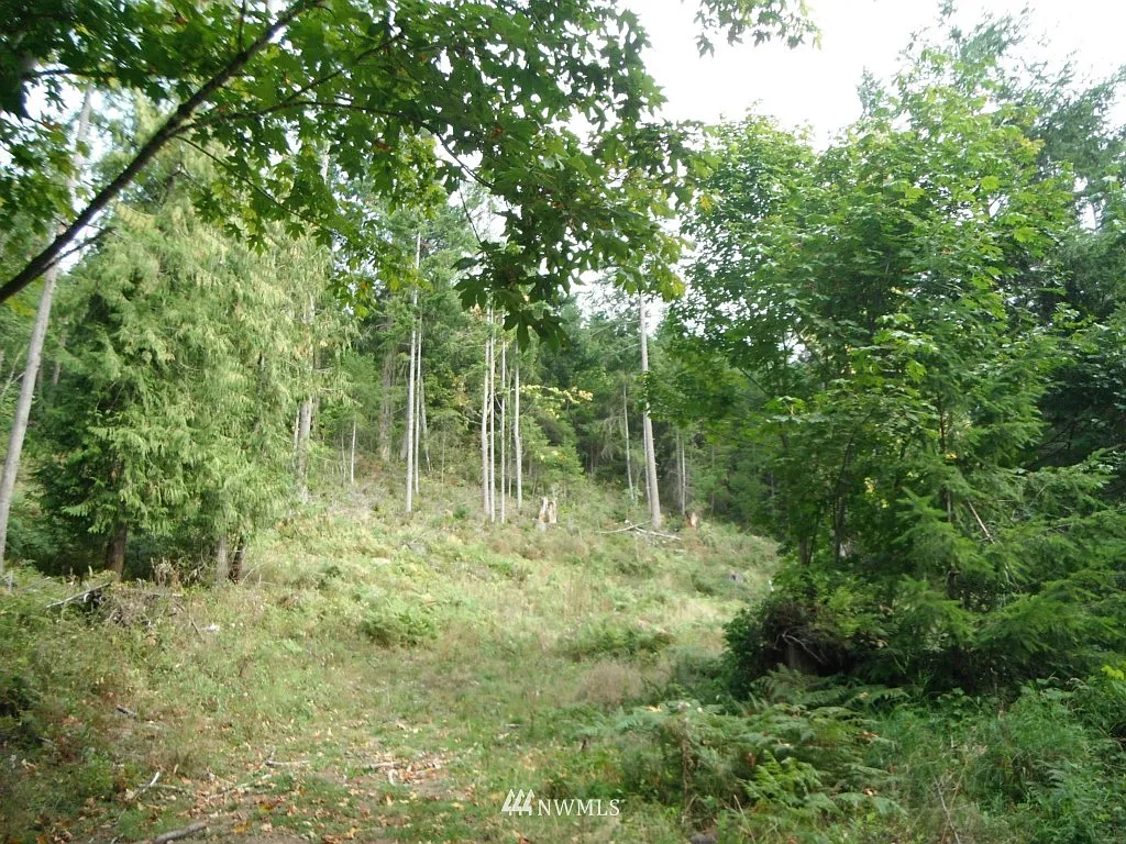 0 XXX Fisk Road E photo 1