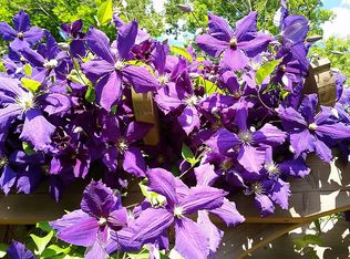 34 Grandview Dr, Wayne, NJ 07470