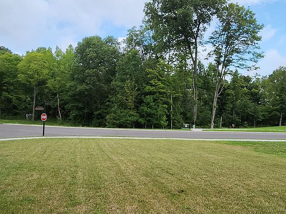 Nice wooded view across the street