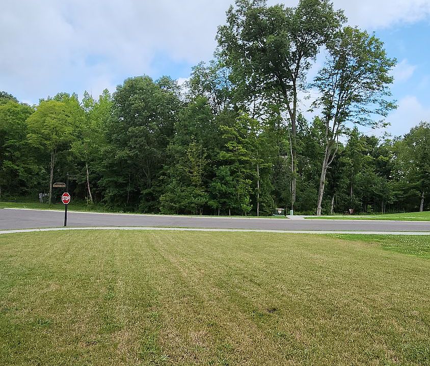 Nice wooded view across the street
