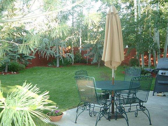 Backyard in summertime