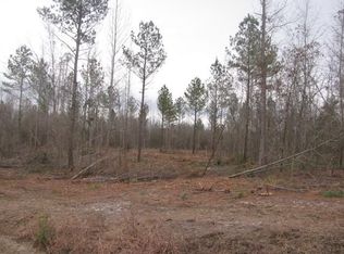 3353 Old Stagecoach Rd, Bethune, SC 29009