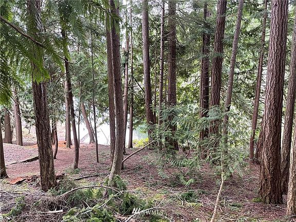 3rd image of 18542 Woodside Dr SE