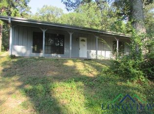204 Christie Rd, Diana, TX 75640
