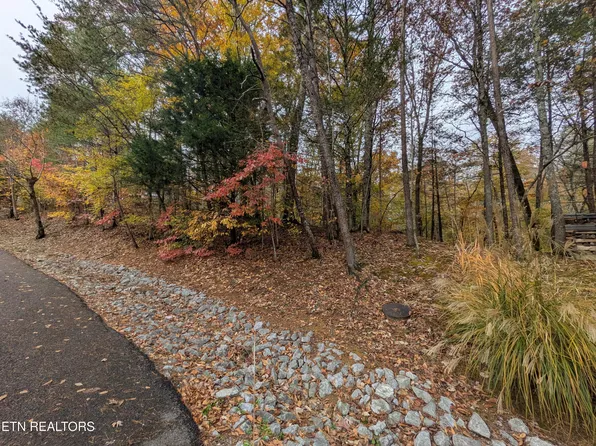 517 Clearwater Cir, Townsend, TN 37882