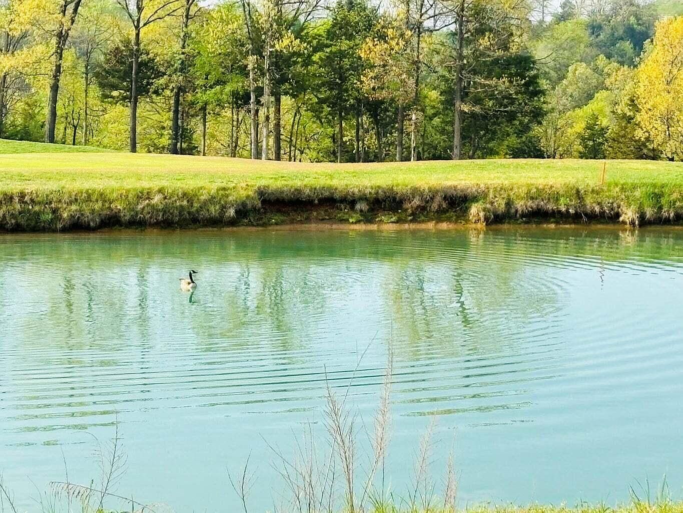 116 Pebble Beach Court