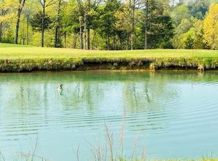 116 Pebble Beach Ct, Branson, MO 65616