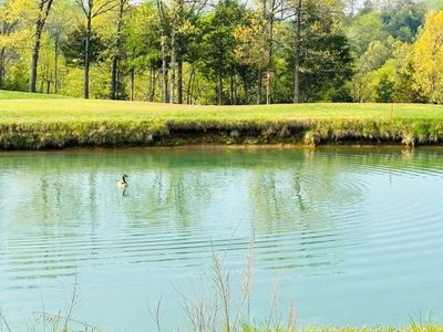 116 Pebble Beach Court, Branson, MO, 65616