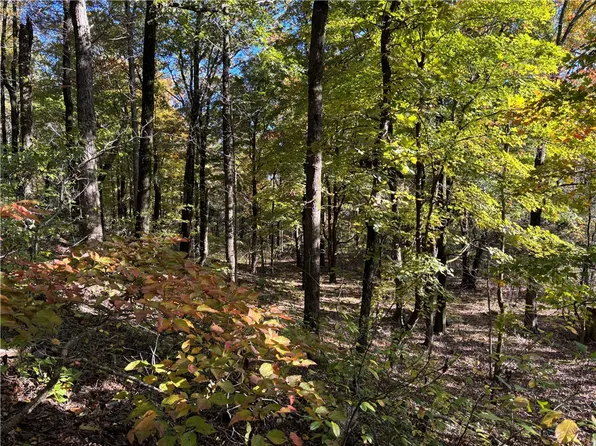 1 Madison #5221, Elkins, AR 72727