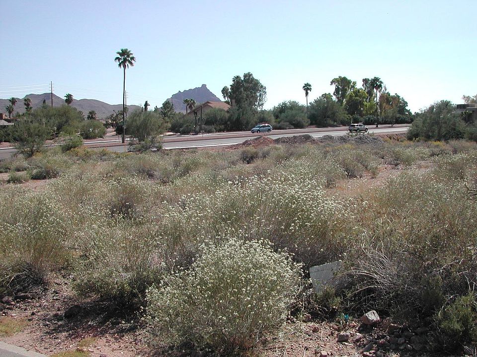 1st image of 11230 N SAGUARO Boulevard #14
