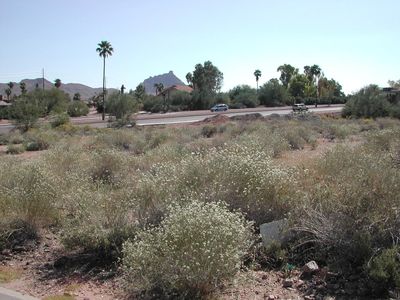 11230 N Saguaro Blvd #14, Fountain Hills, AZ, 85268