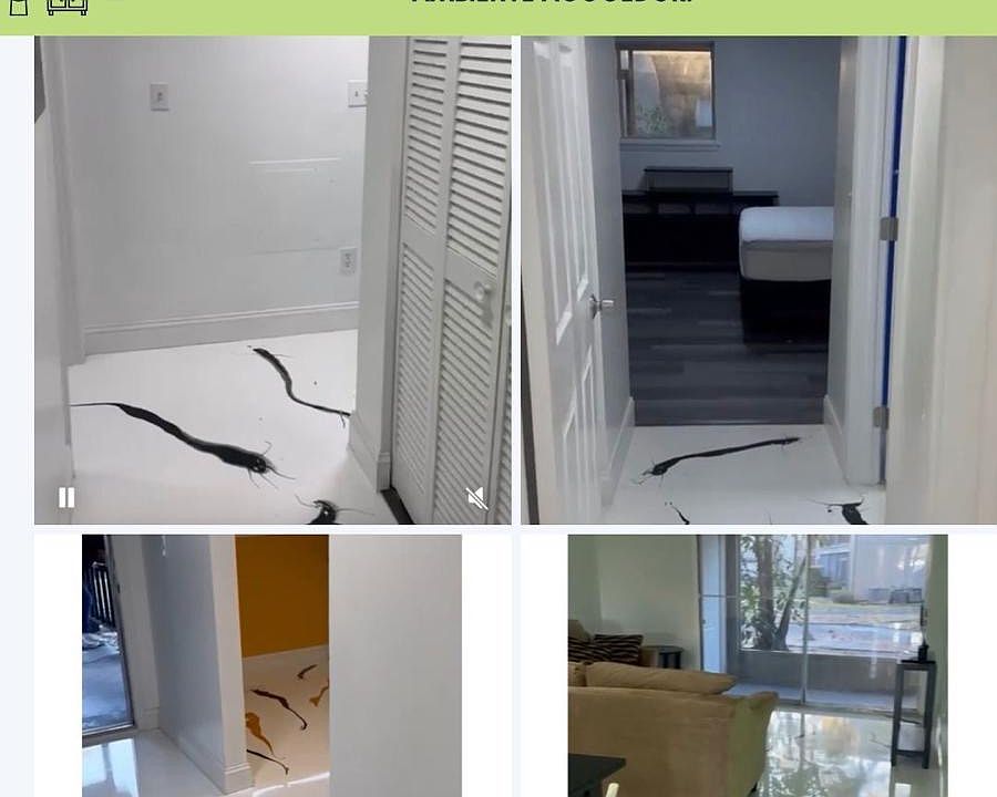 1st image of 6336 Newtown Cir APT A3