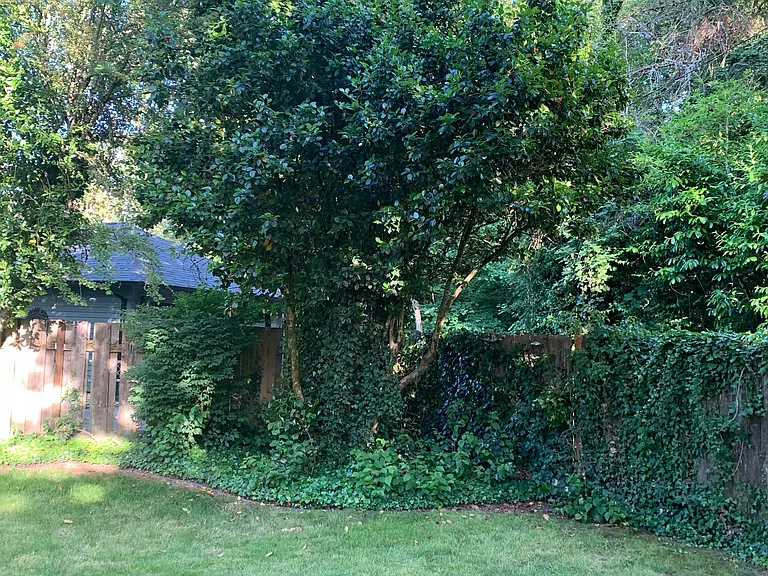SE 24th Ave — Photo 9