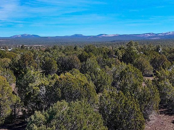 3rd image of 11 Co Rd N3262 5 Acres -- #-