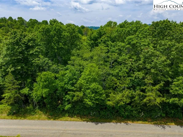 TBD Air Bellows Gap Road #5, Sparta, NC 28675