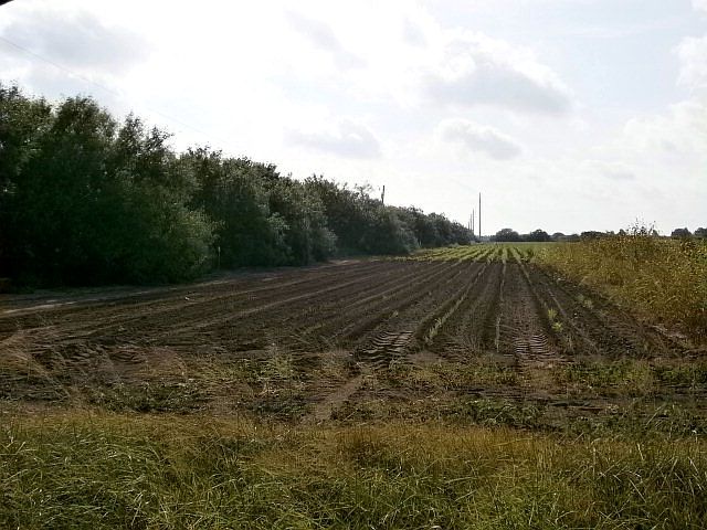 1st image of 31909 Fm 3069