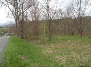 Red Mill Rd, Greenville, NY 12083