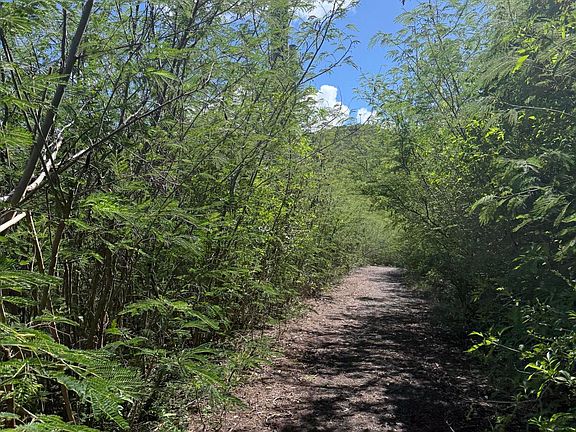 5th image of 162 Cotton Valley EB